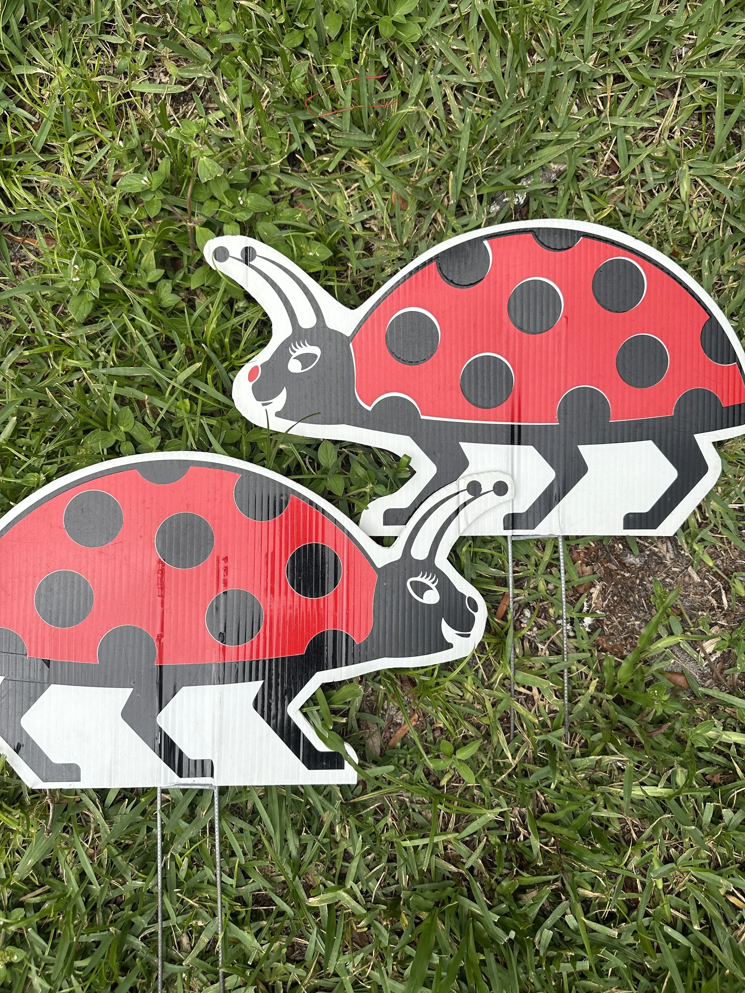 Ladybugs (Add-On Only)