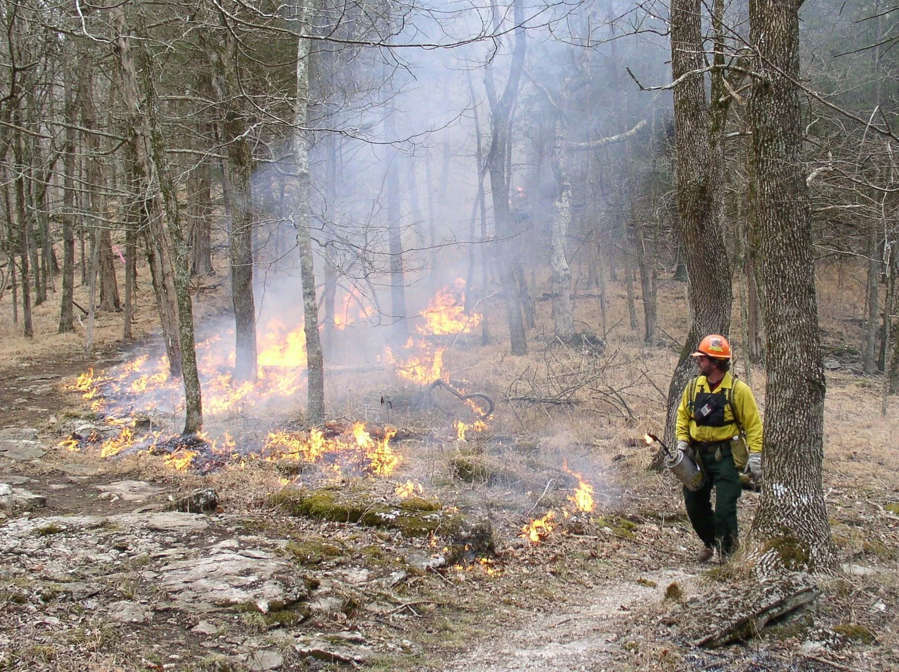 Prescribed Fire Planned for Mammoth Cave National Park