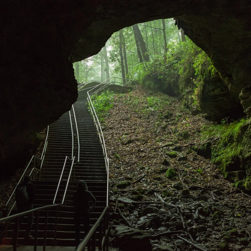 FRIENDS OF MAMMOTH CAVE NATIONAL PARK Receives New Capacity Building Grant from National Park Foundation