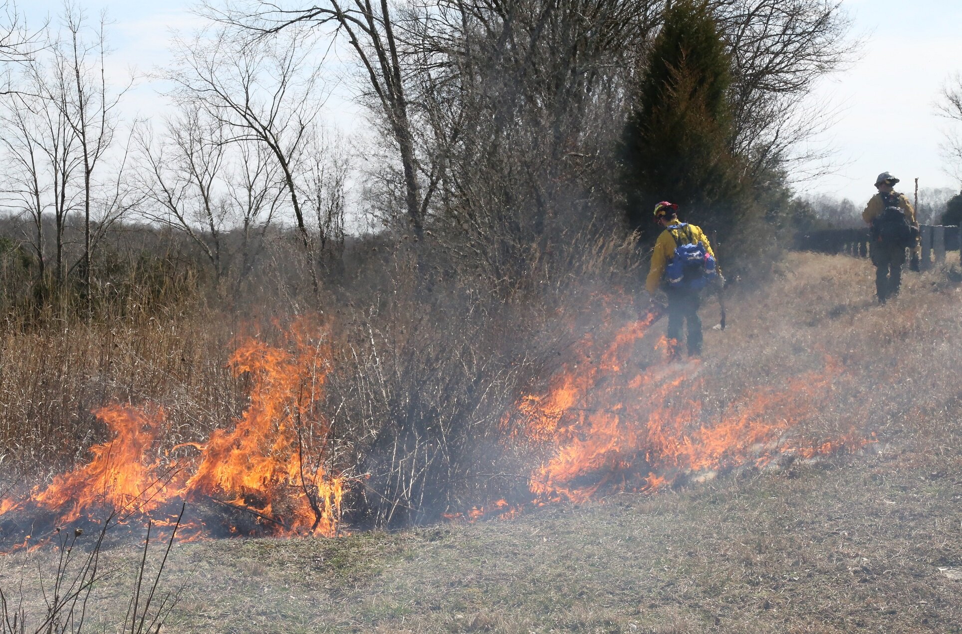 Prescribed Fires Planned in Mammoth Cave National Park&nbsp;