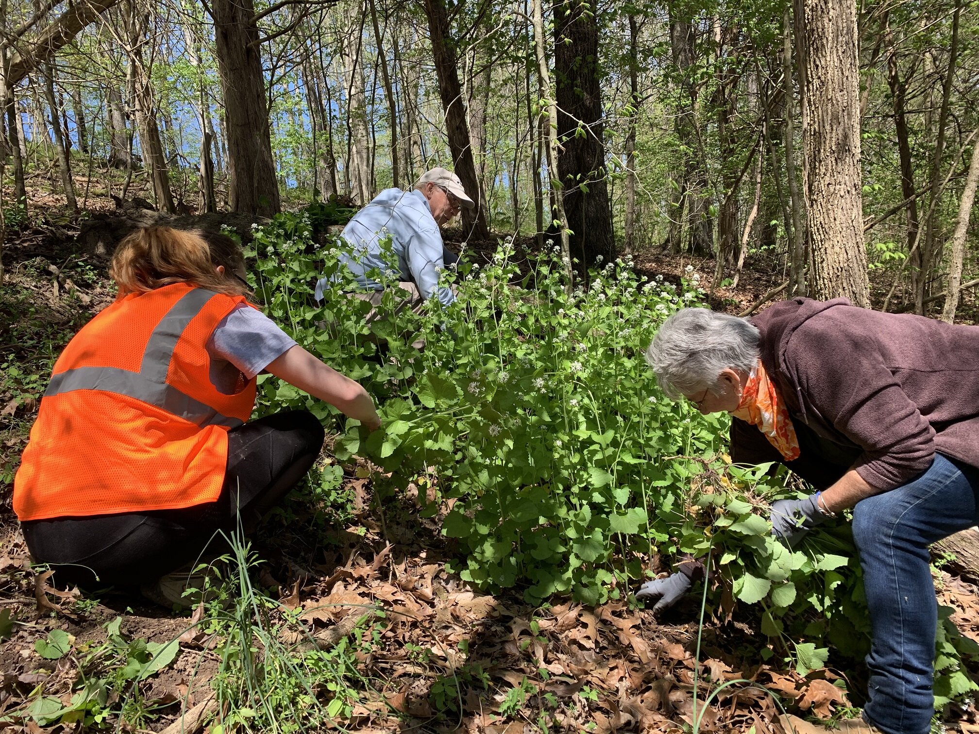 Celebrate Earth Day at Mammoth Cave by Volunteering&nbsp;