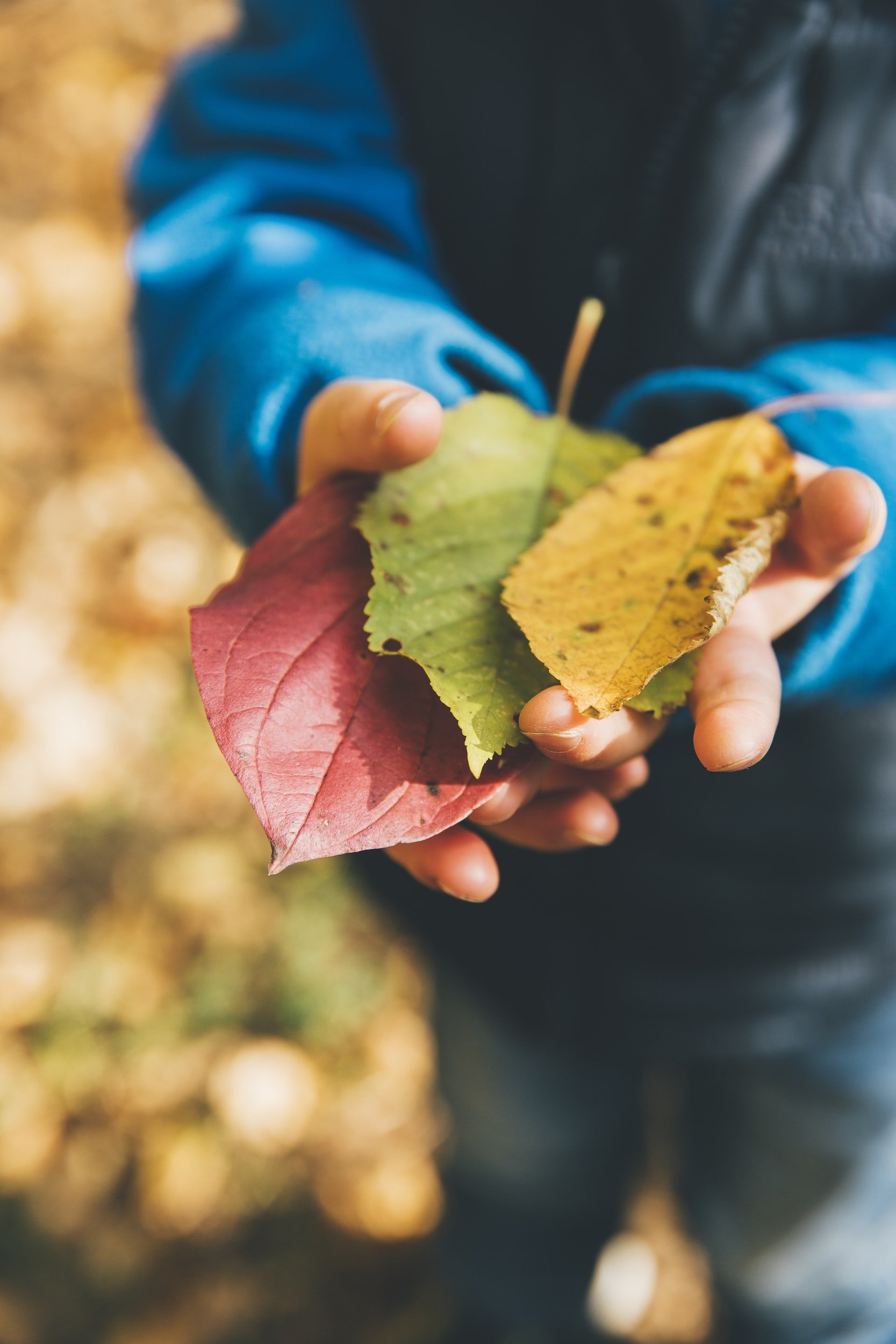 Friends&nbsp;of&nbsp;Mammoth&nbsp;Cave Receives National Park Foundation Open OutDoors for Kids Grant to host Overnight Teacher Workshops in Conjunction with&nbsp;Mammoth&nbsp;Cave&nbsp;National Park