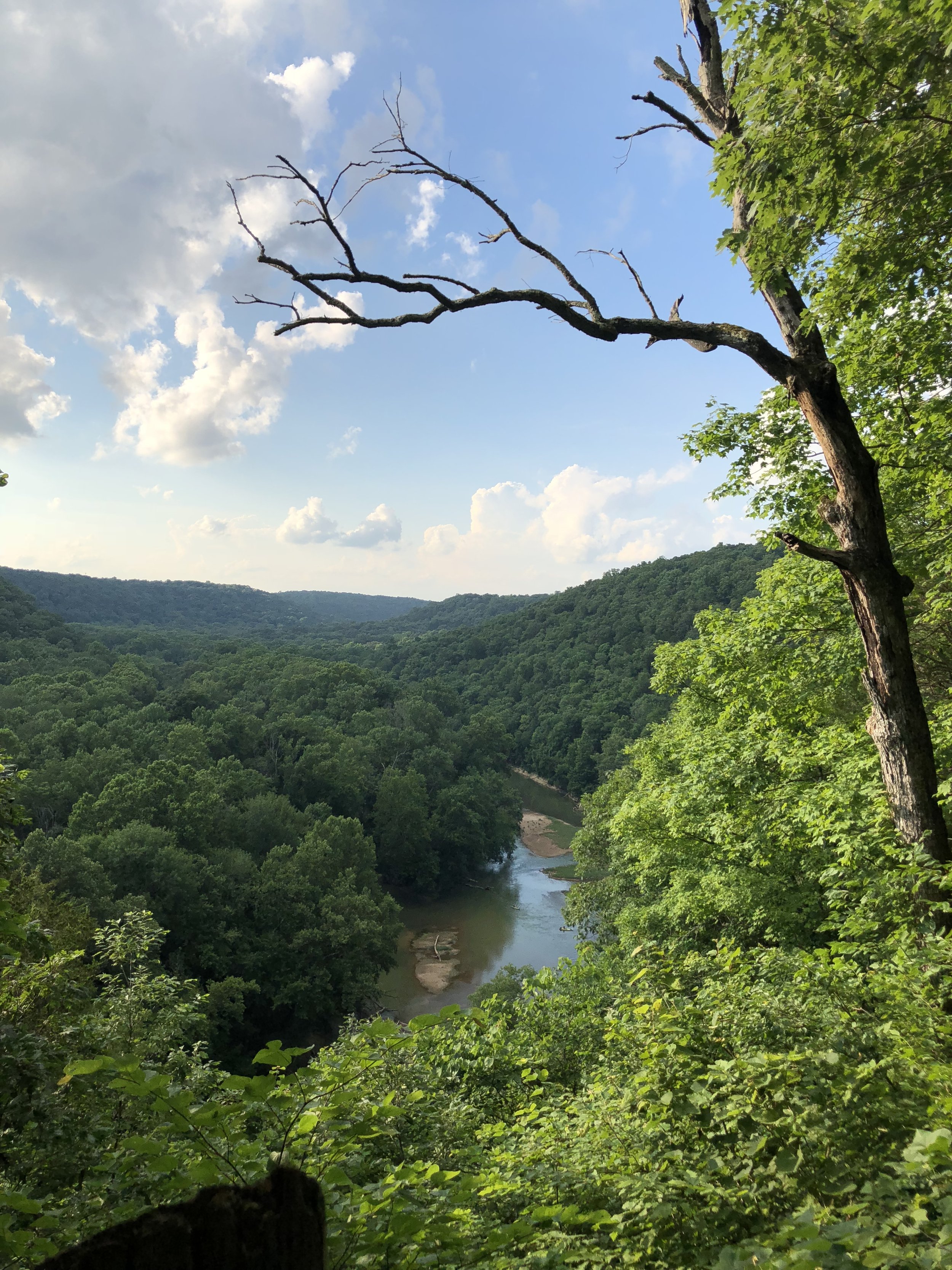 Friends of Mammoth Cave National Park — 2022 Year in Review