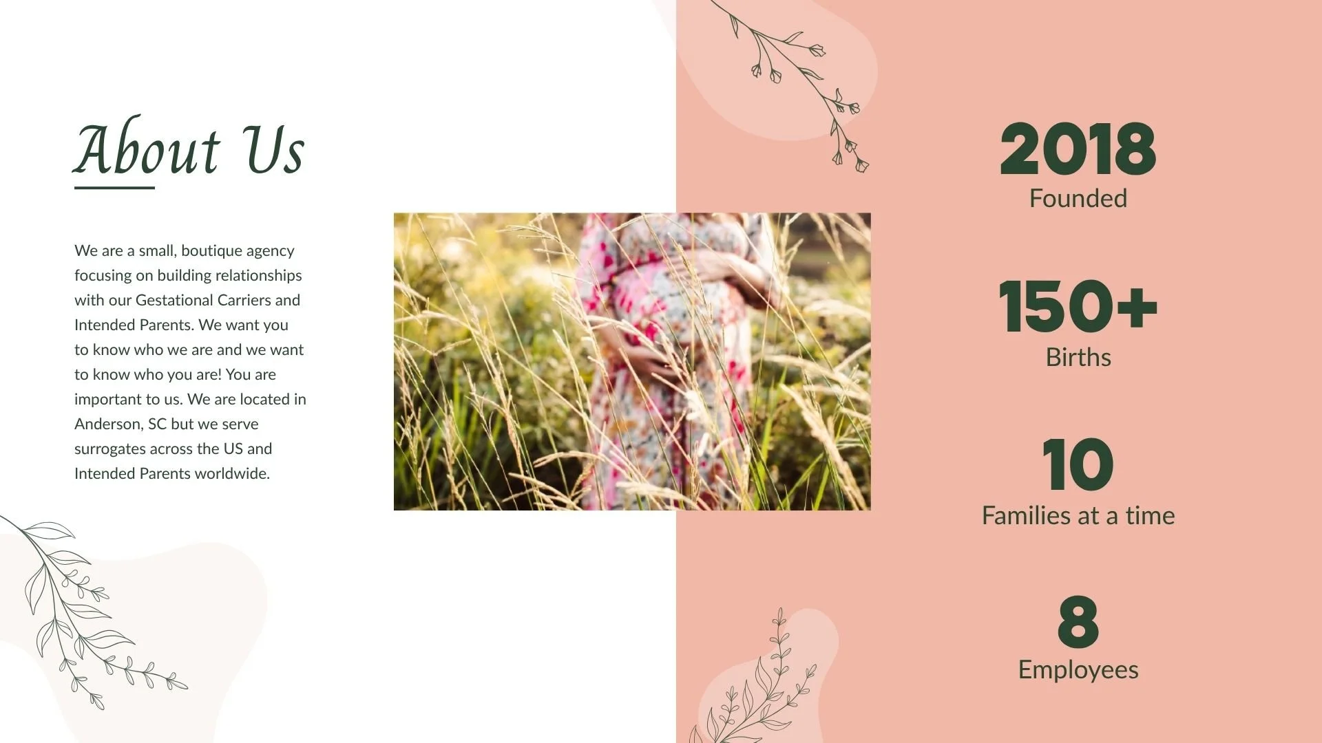 Await Surrogacy Deck_2025 (8).jpg