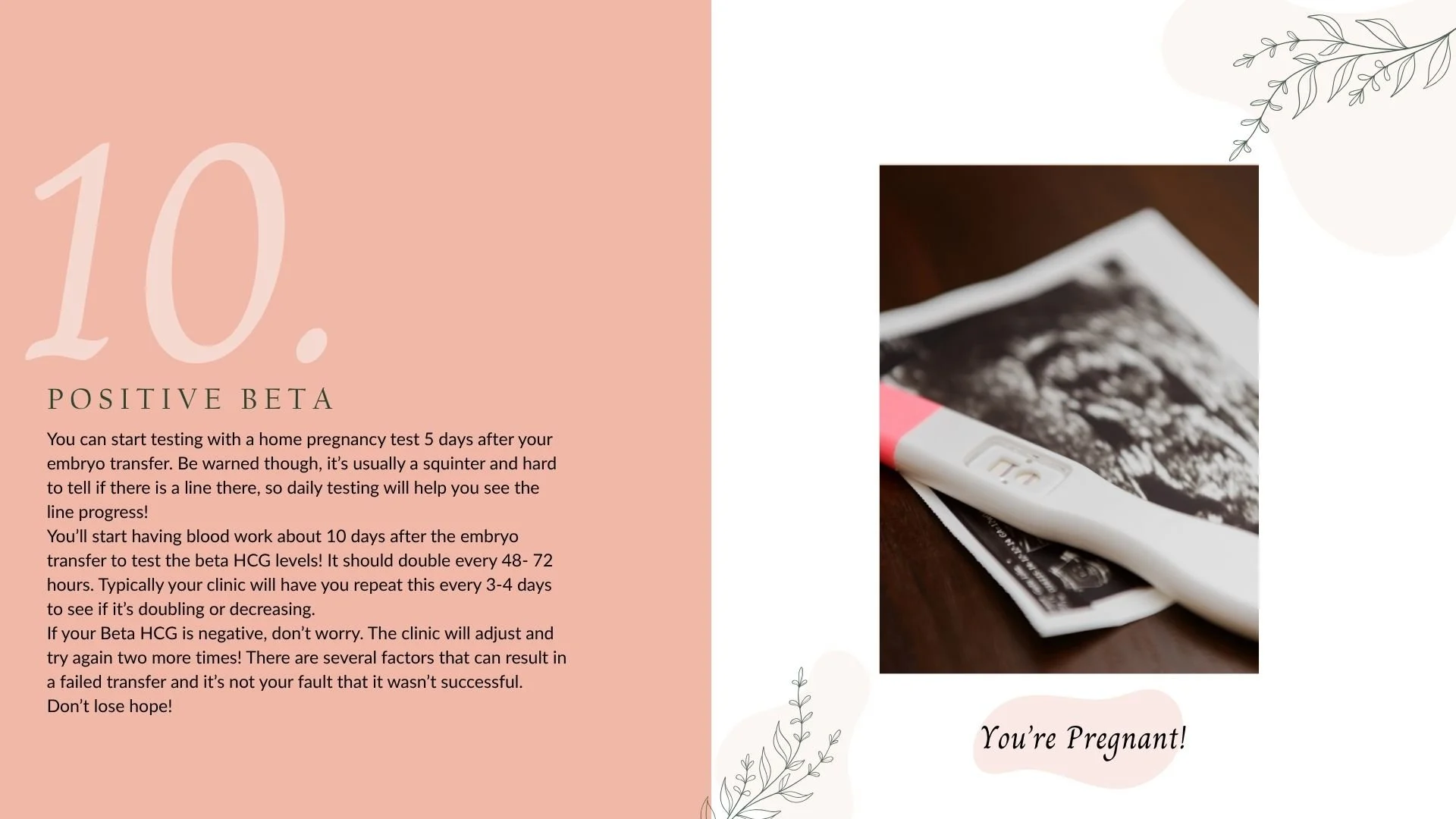 Await Surrogacy Deck_2025 (20).jpg
