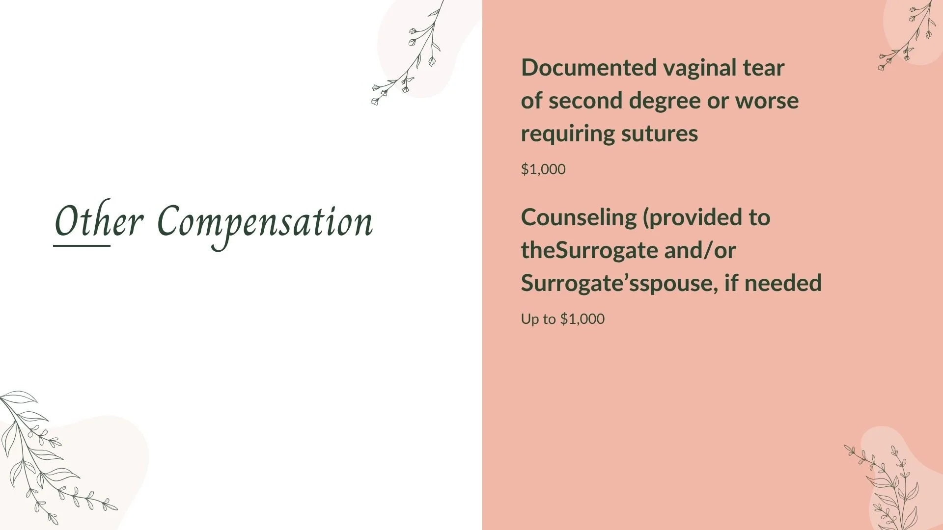 Await Surrogacy Deck_2025 (26).jpg