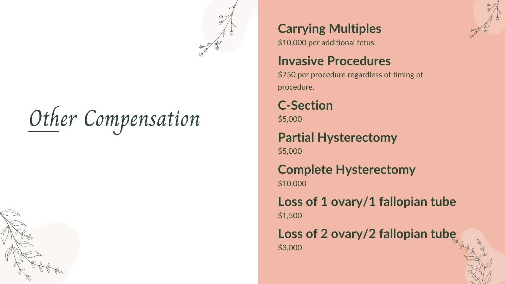 Await Surrogacy Deck_2025 (25).jpg