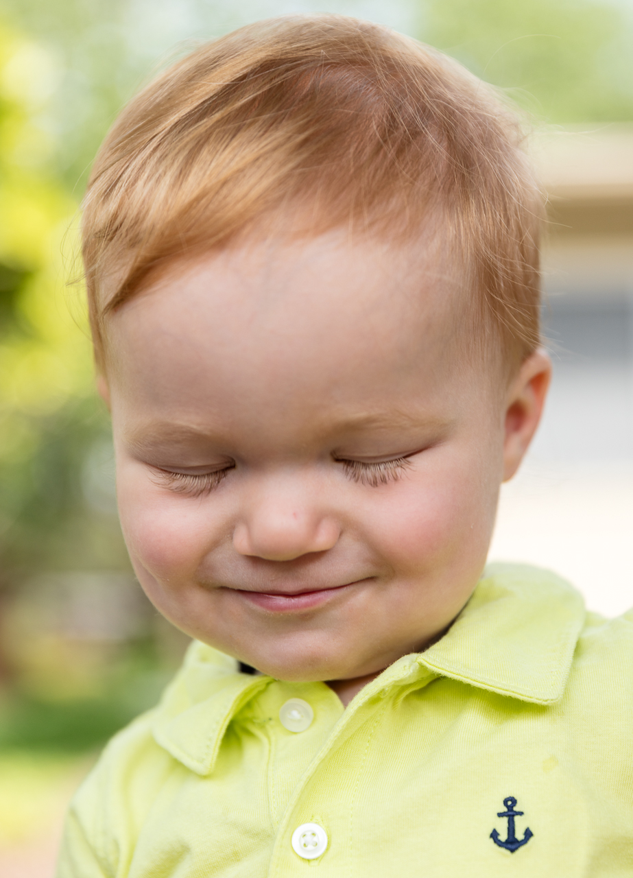 klein_GingerSnap20a.jpg