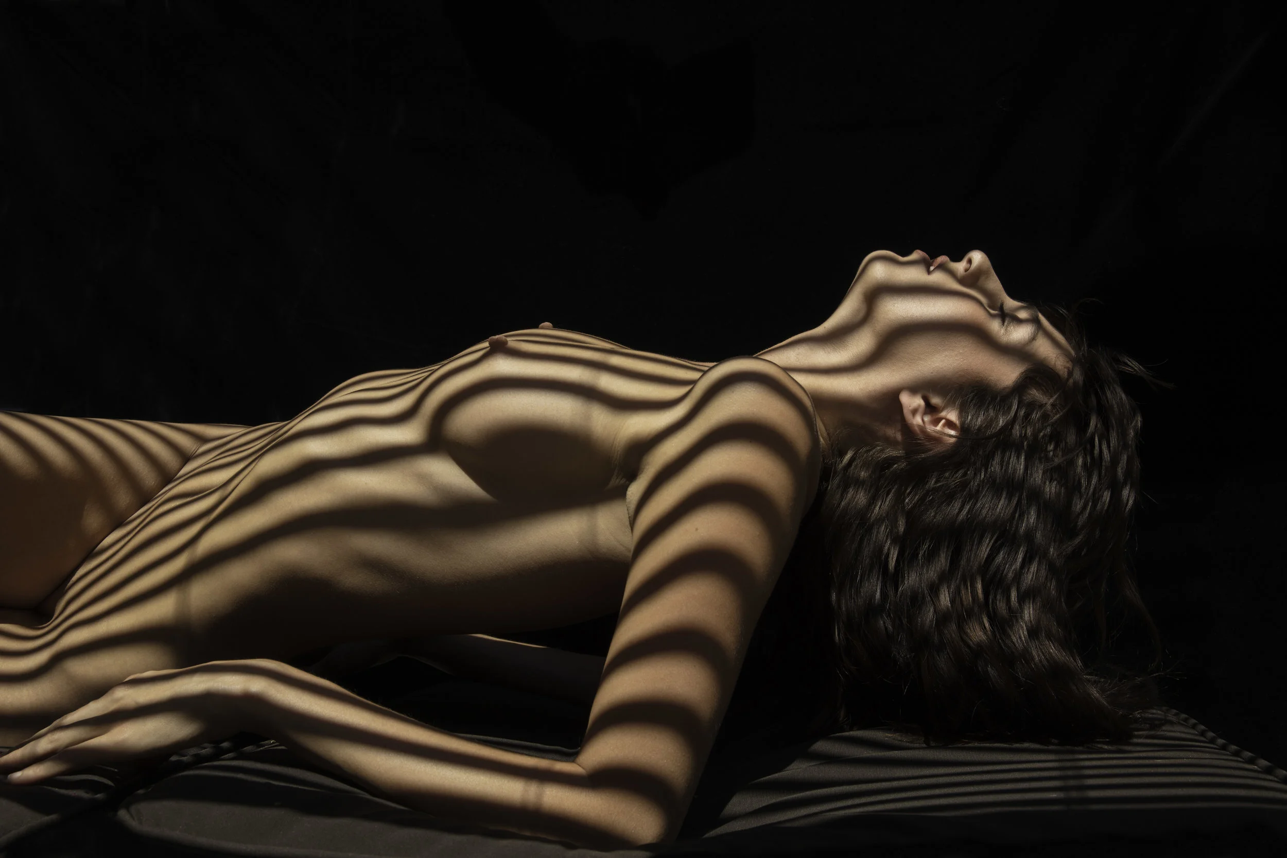 klein170430_6_gormanstephaniezebra1417-Edit.jpg