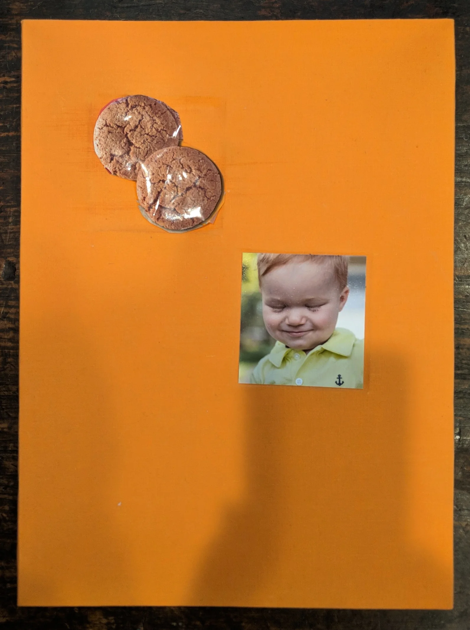  Ginger Snaps    