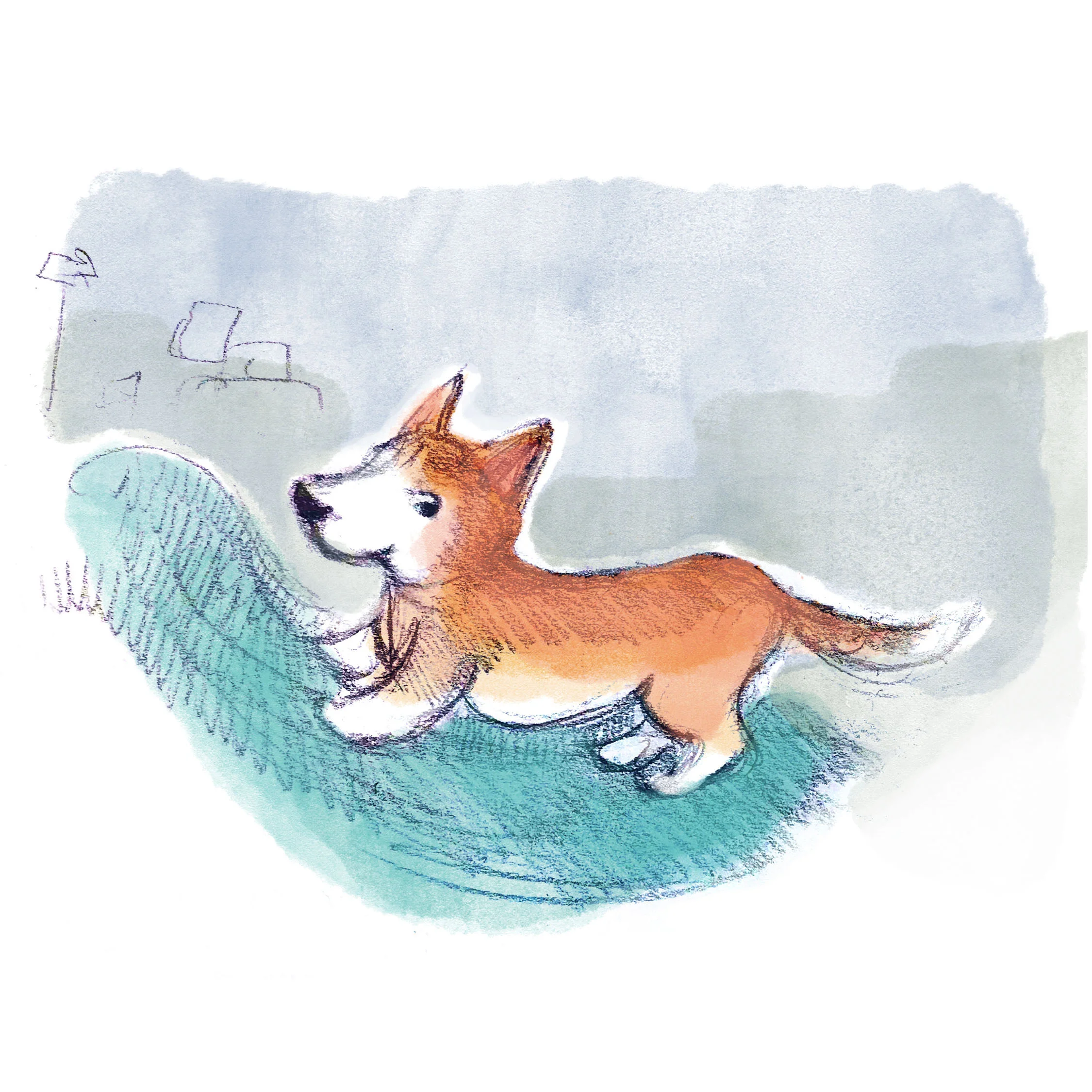 24 corgi1 portf.jpg