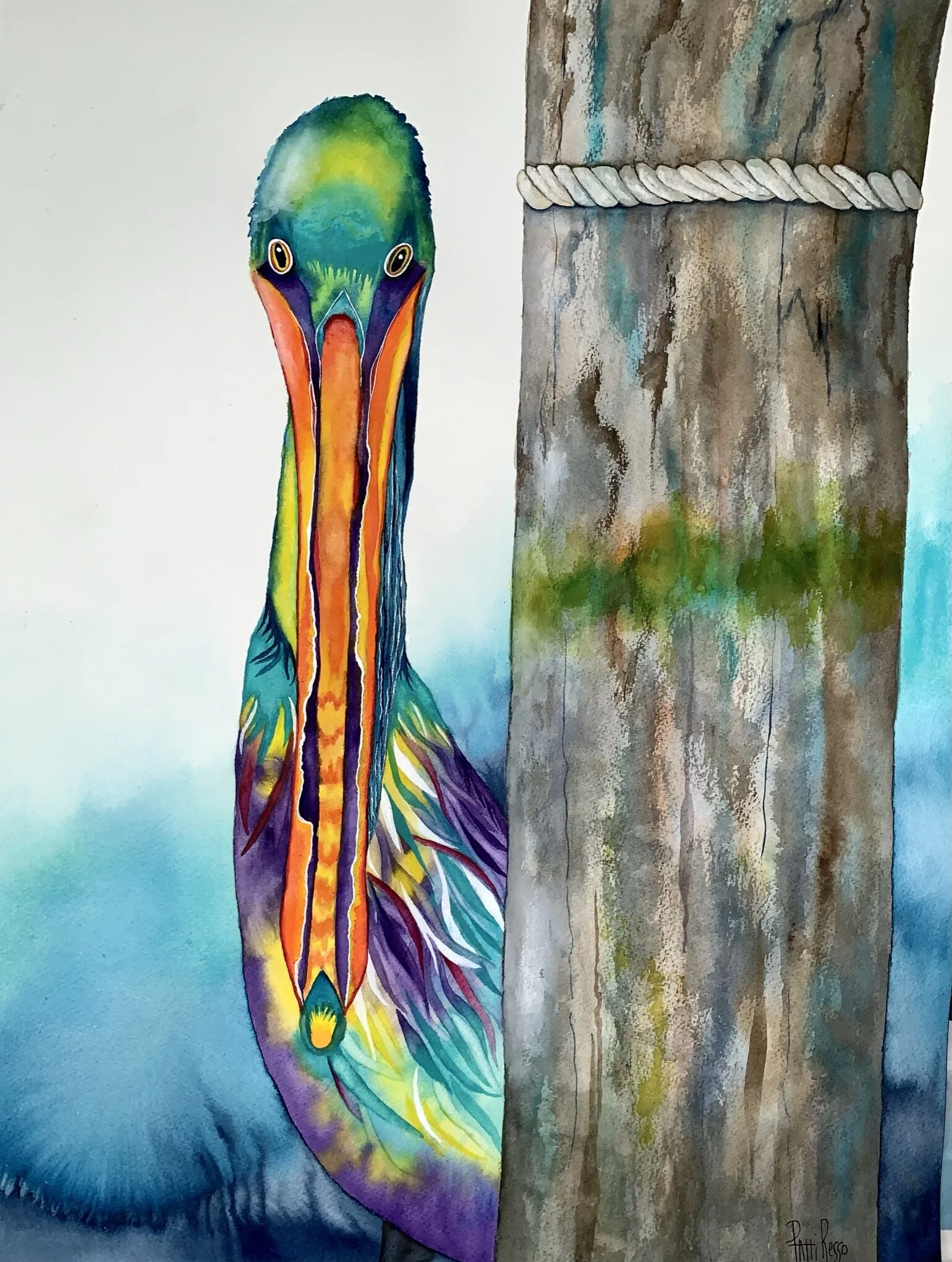 Kaleidoscope the Pelican II