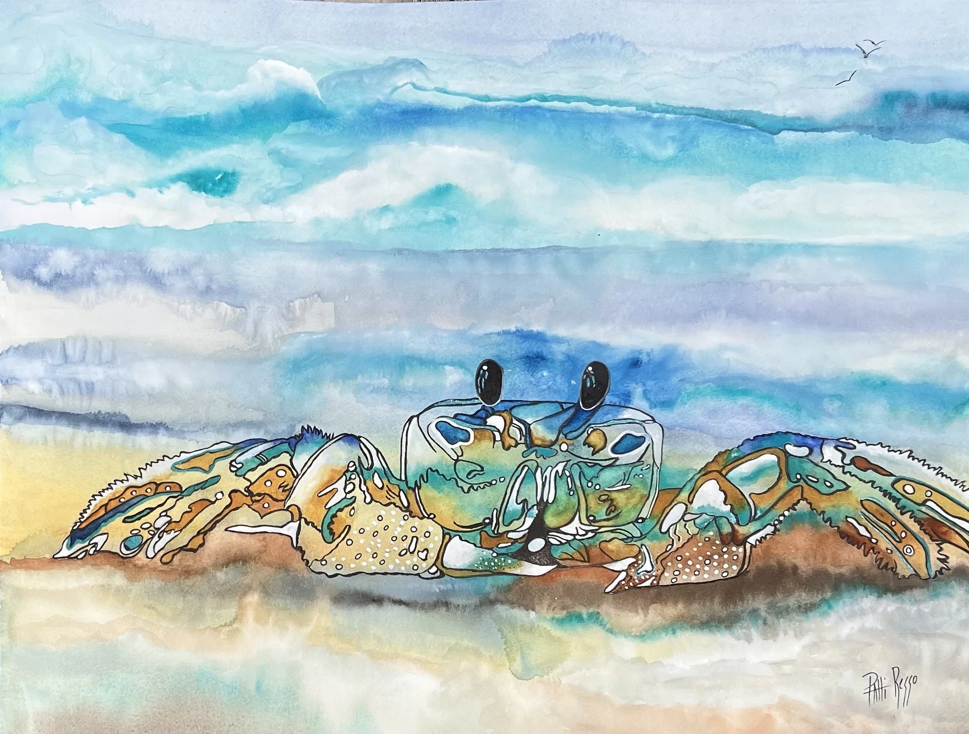 Crab of Topsail.jpeg