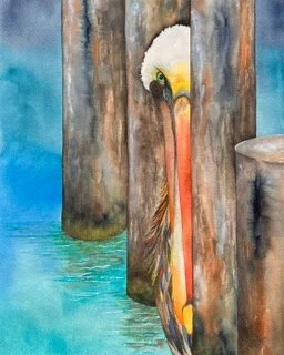 Peekaboo Pelican II.JPG