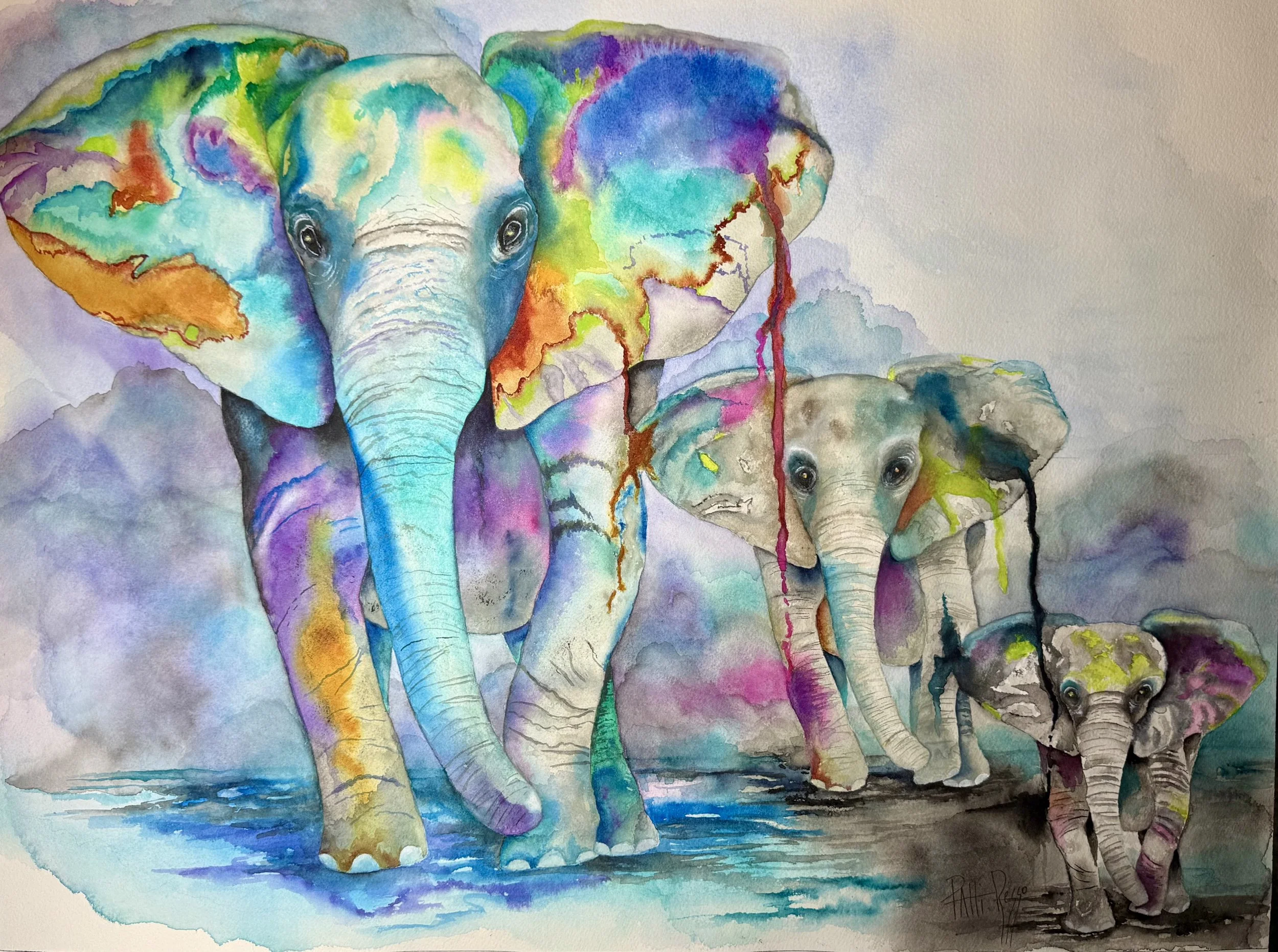 Colors of the Dreaming Wild