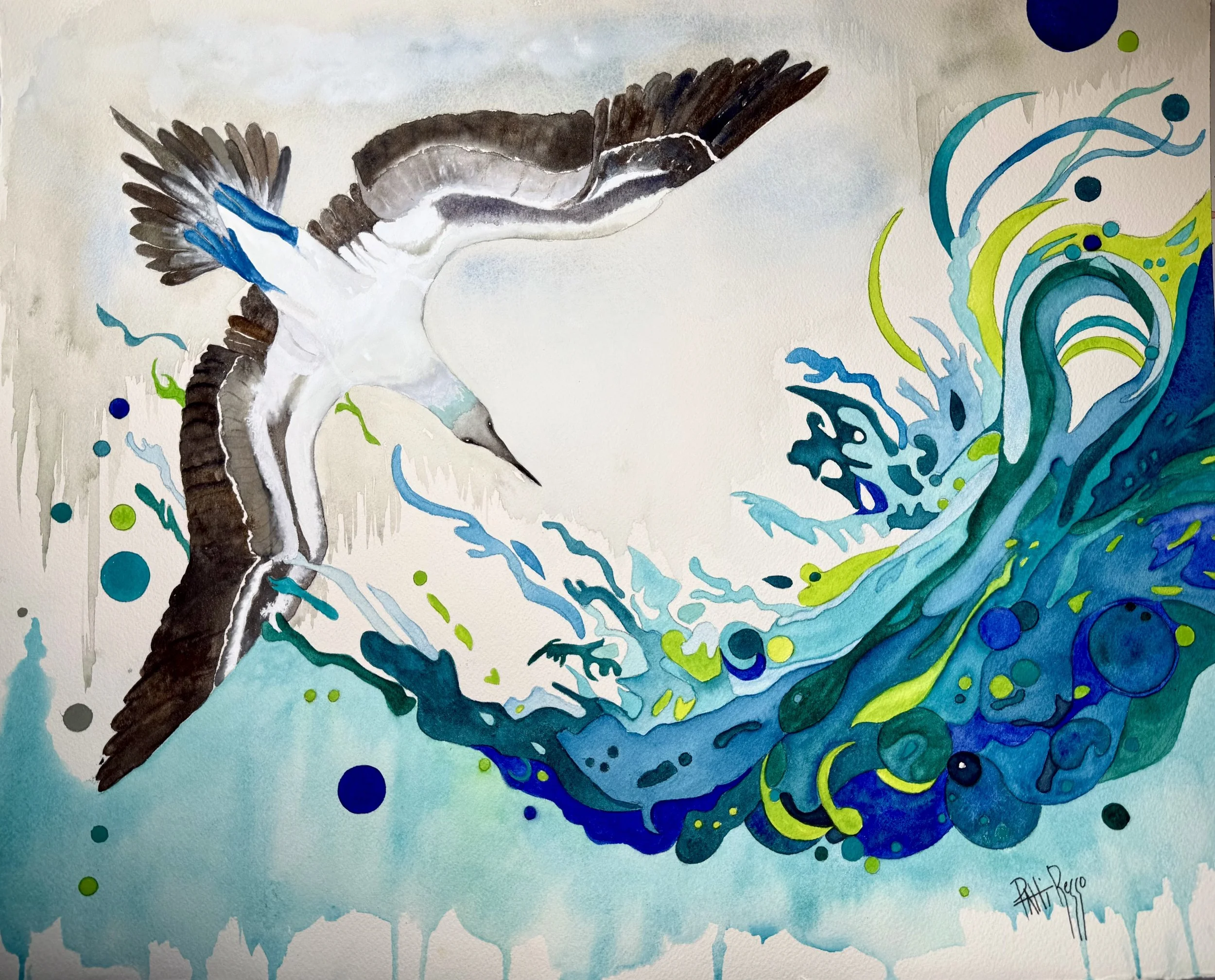 Into the Surge - Blue Footed Booby Bird