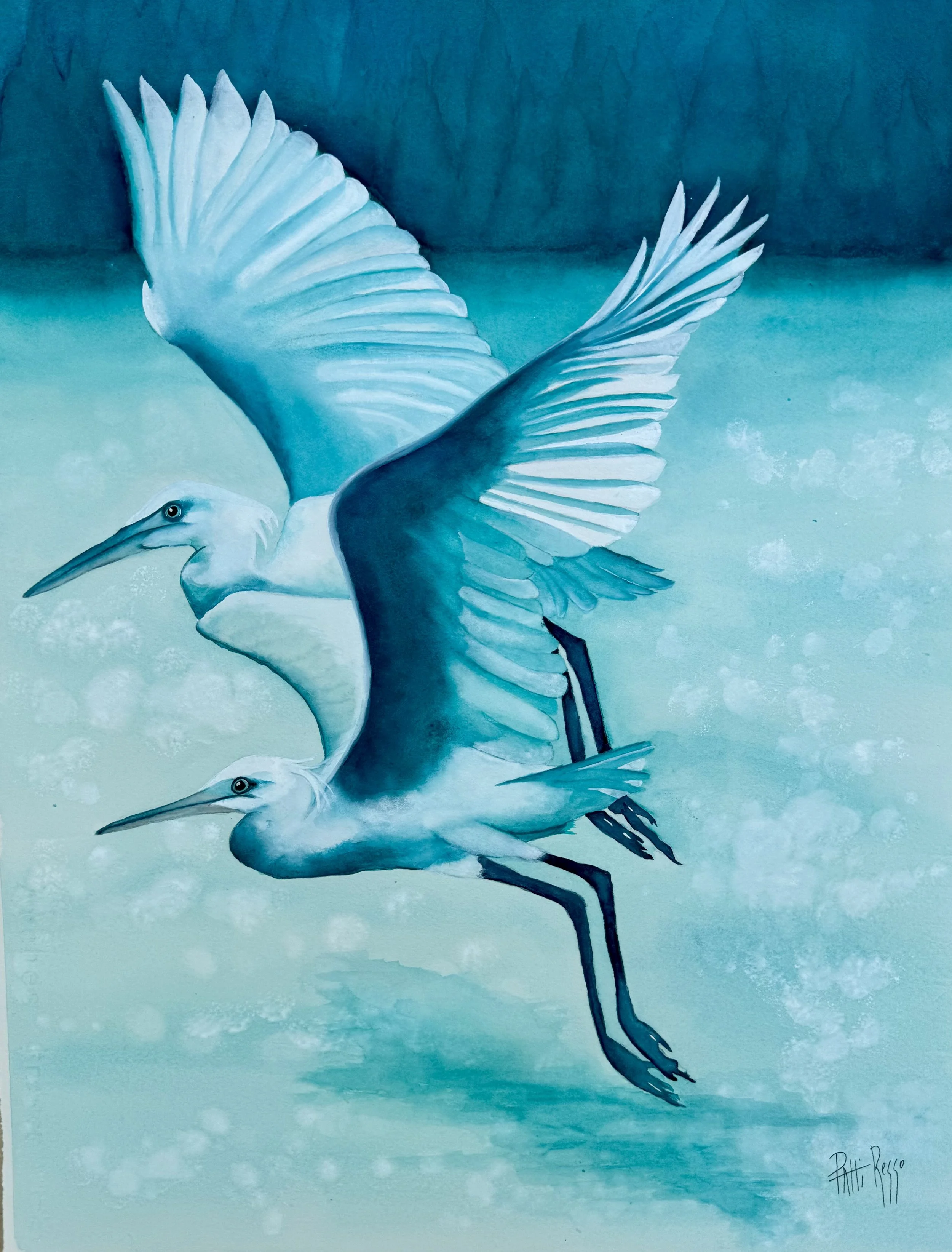 The Egrets of Topsail Island.jpeg