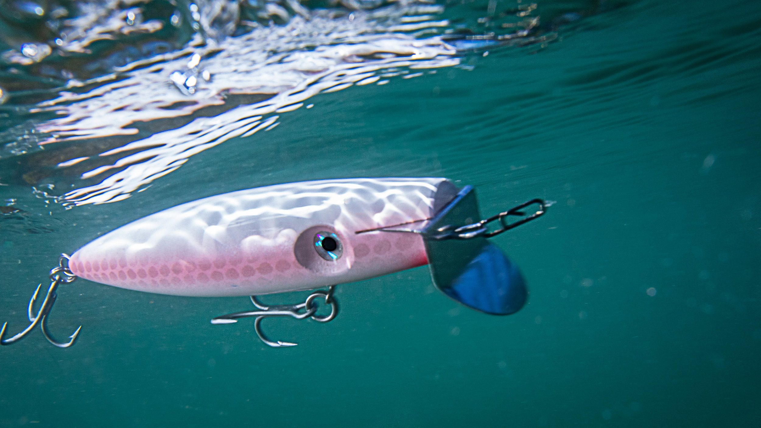 daiwa bg magsealed 4500