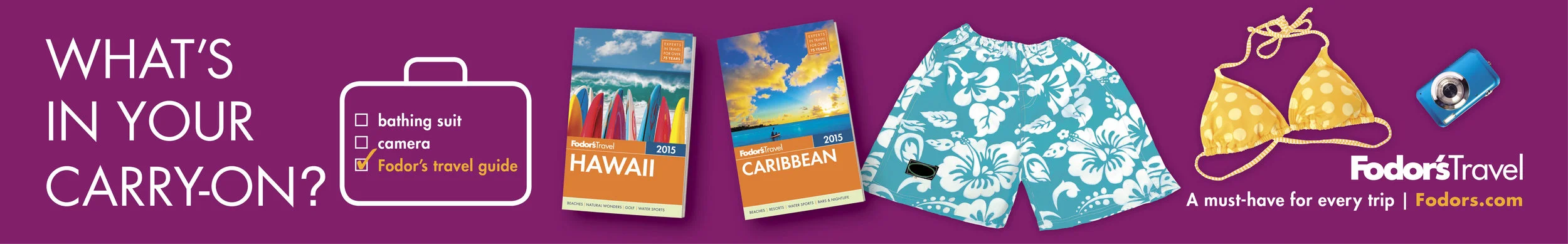 fodors_69.875x10.875-comps2_small.jpg
