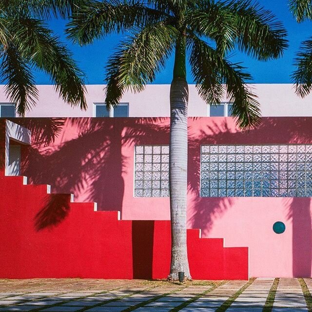 Miami vibes 😎 #architectonica #pinkhouse
