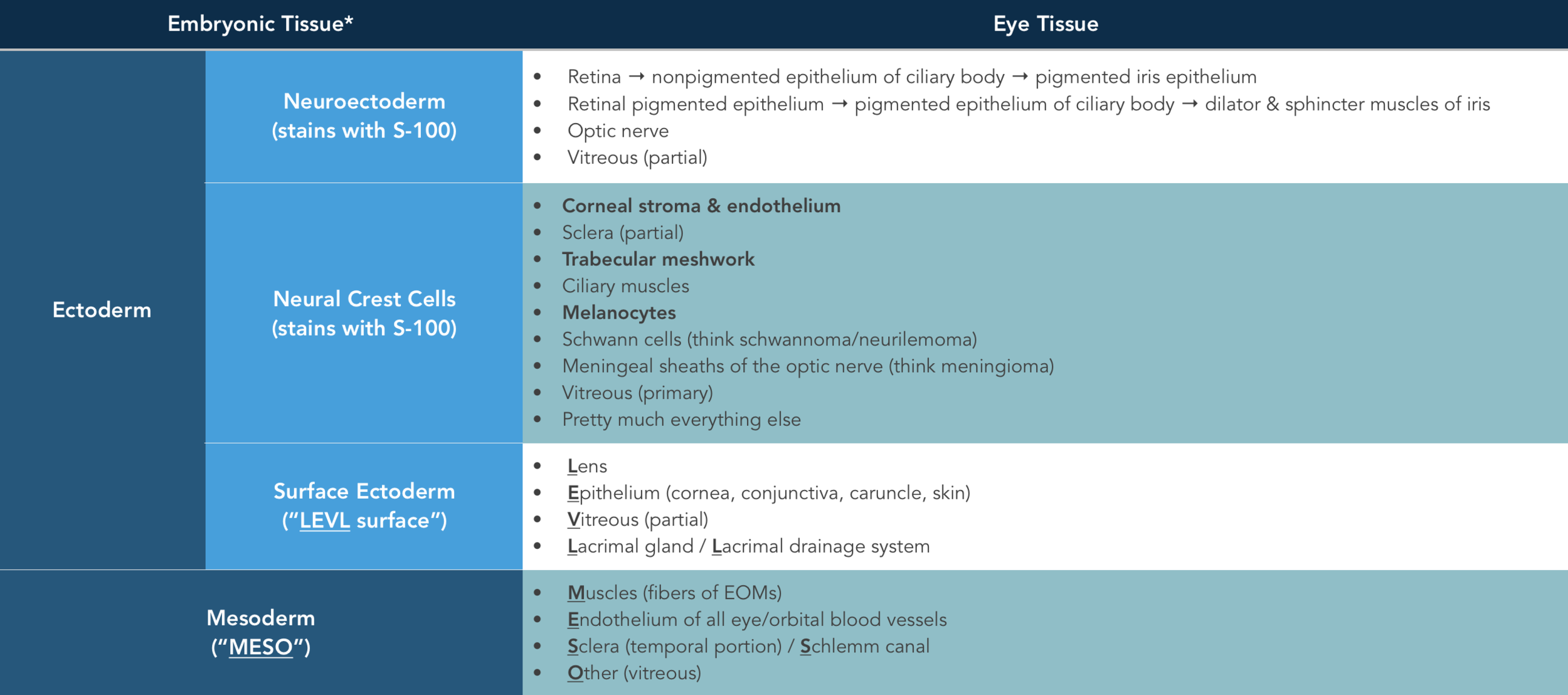 Embryologic Development Of The Eye — Ophthalmology Review