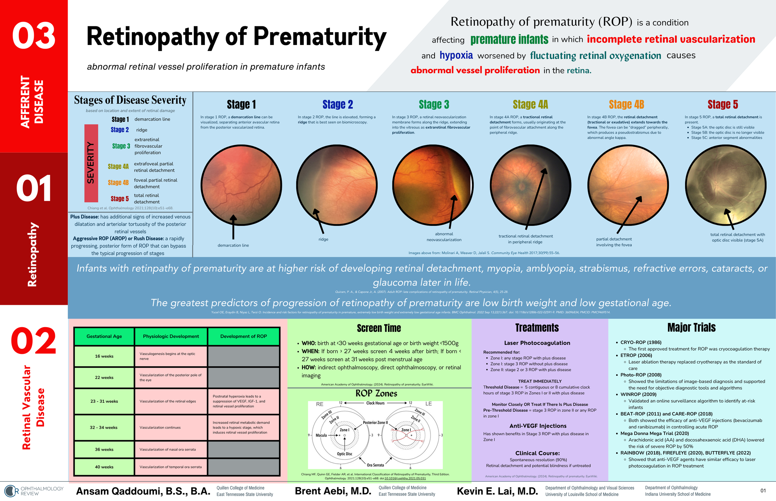 Retinopathy of Prematurity (Coffee Table Book)