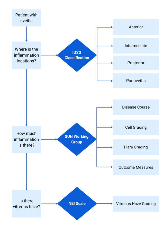 Uveitis Grading Scales