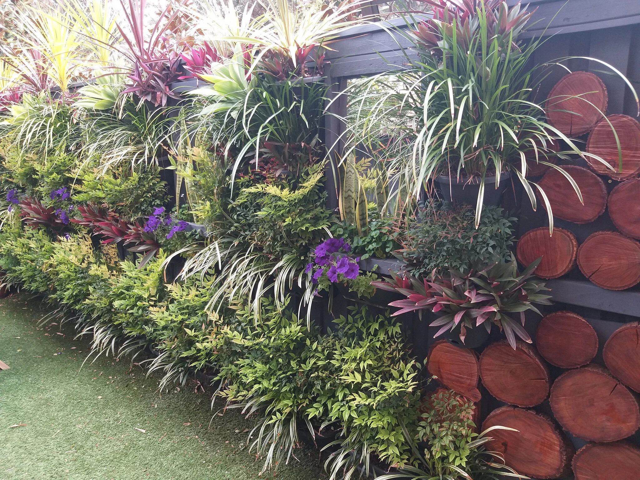 backyard1.jpg