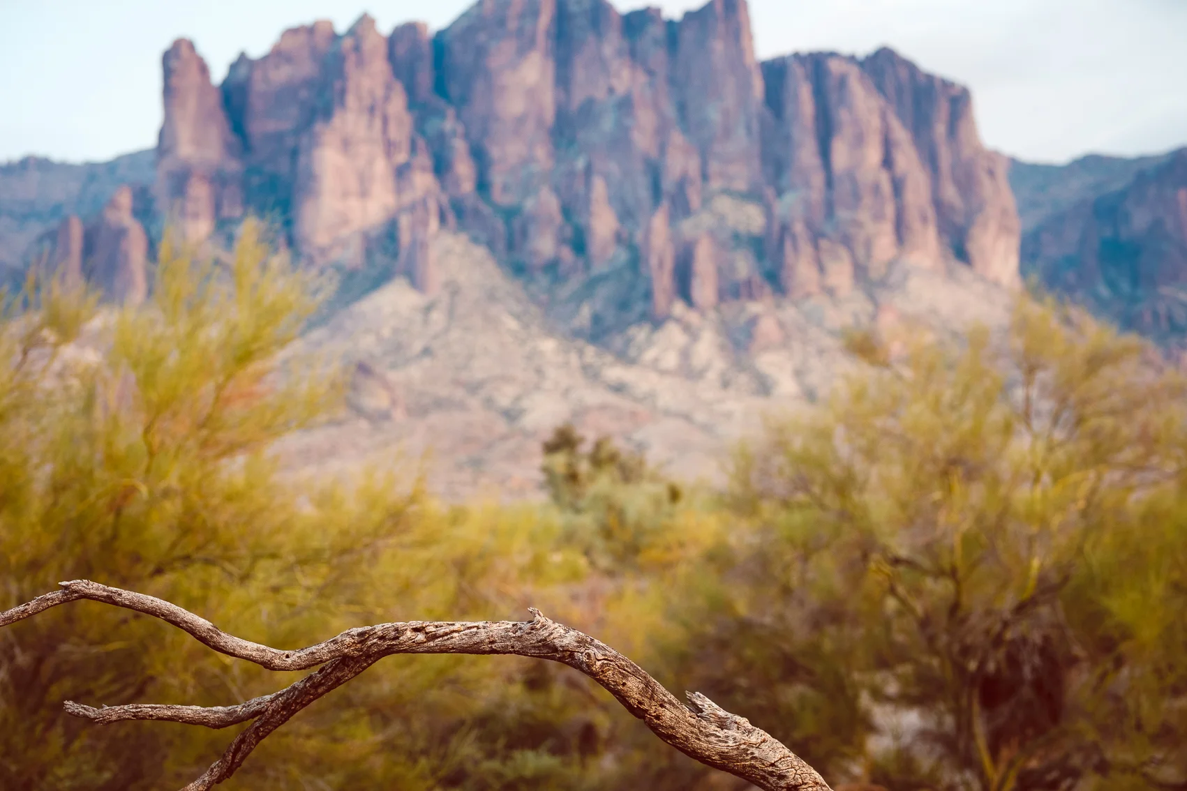 Welcome to the NEW site!