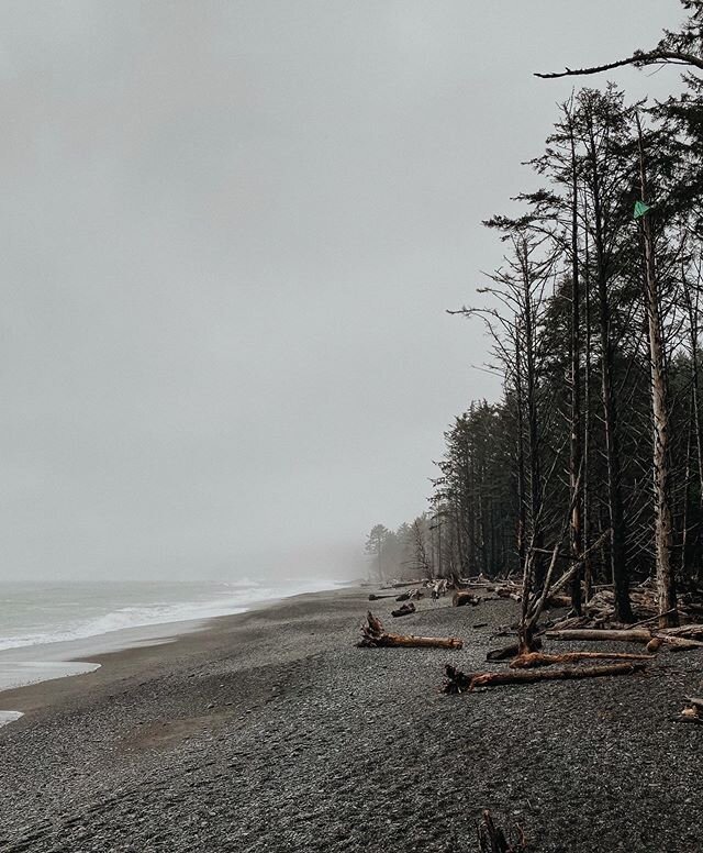 Missing the moody Washington Coast extra hard today. .
.
.
.
.
.
.
.
#heyheyhellomay #littlethingstheory #hdpresets #liveoutloud #liveauthentic #wildernessculture #goexplore #gooutside #finditliveit #moderoutdoorsman #livefolk #nature #landscape #exp