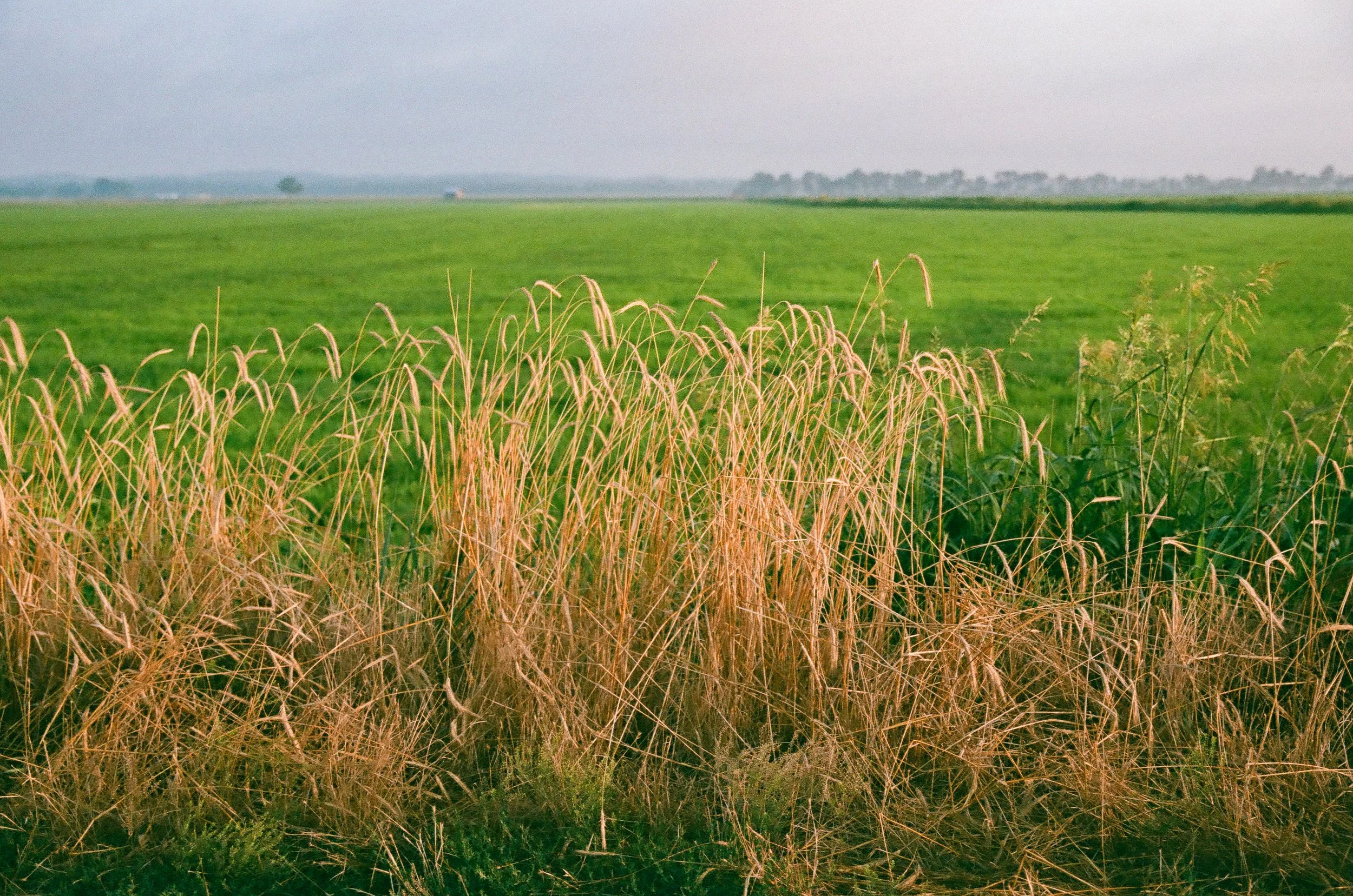DestinFilm-09.jpg