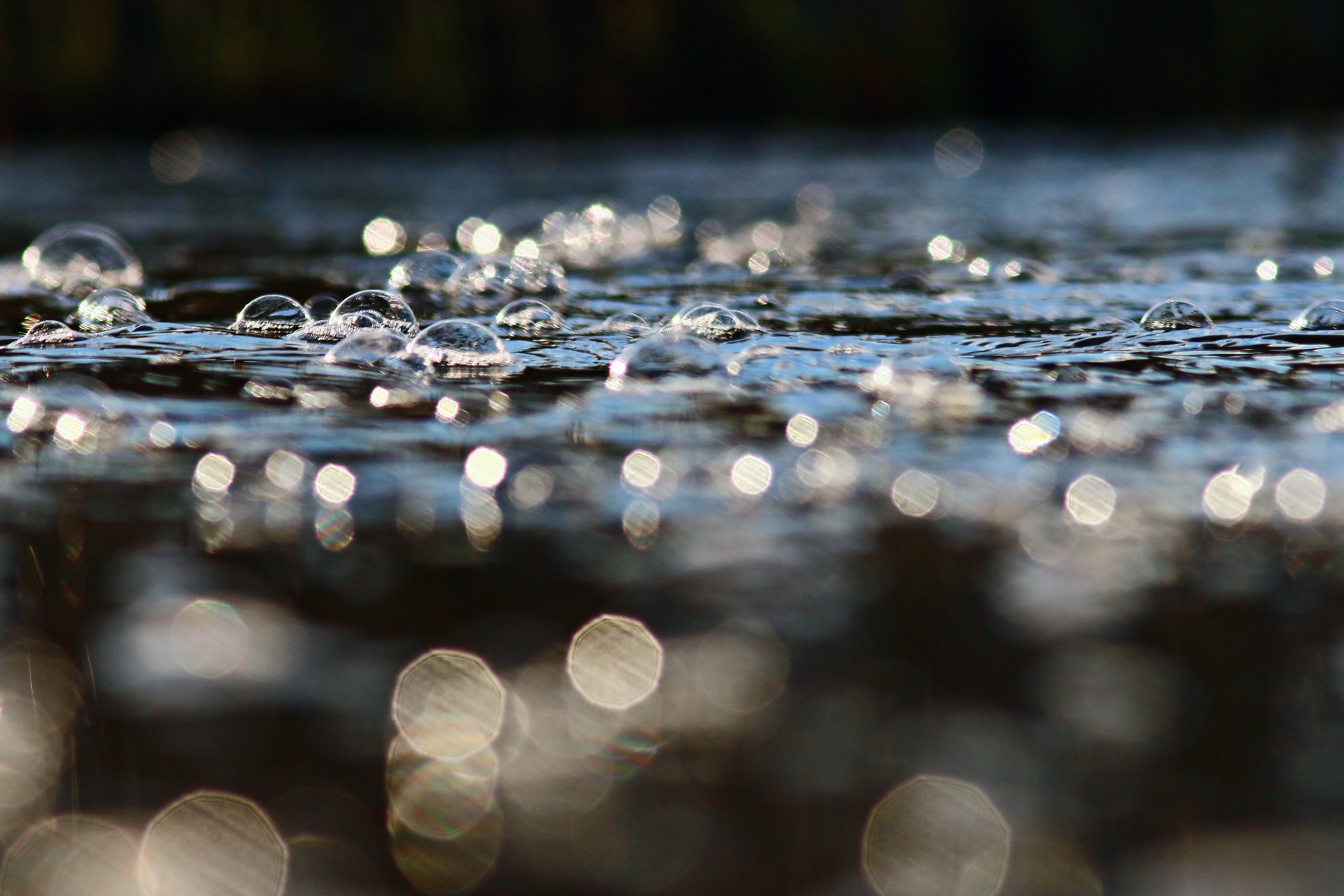 The Purpose Of Prayer