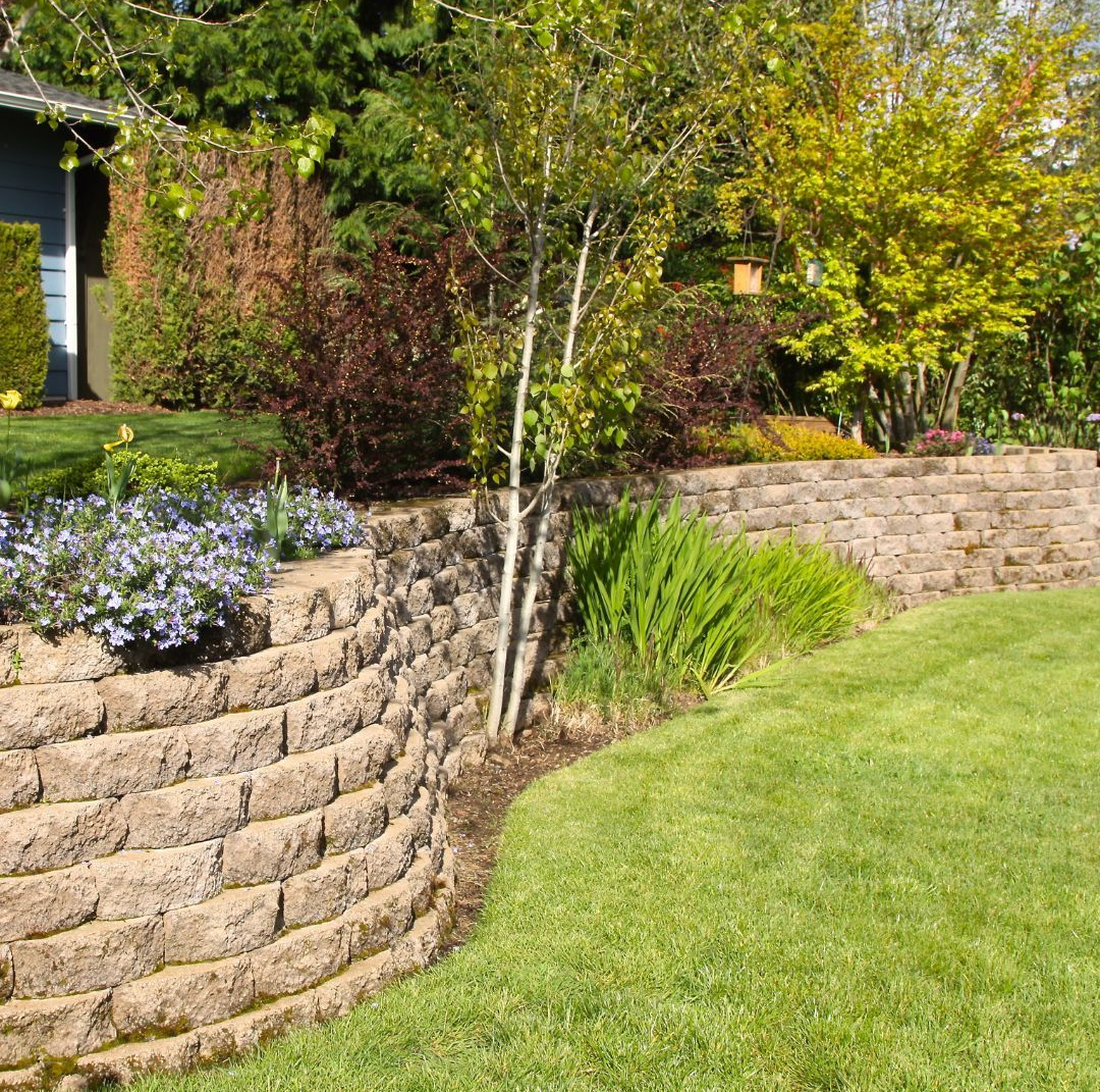 A landscaped garden with a tiered stone retaining wall, green grass, and various trees and flowering plants under sunlight.