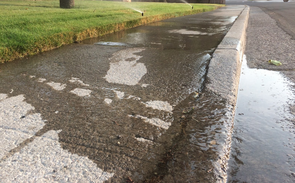 Irrigation overspray running off lawn into street gutter, illustrating outdoor water waste and runoff issues