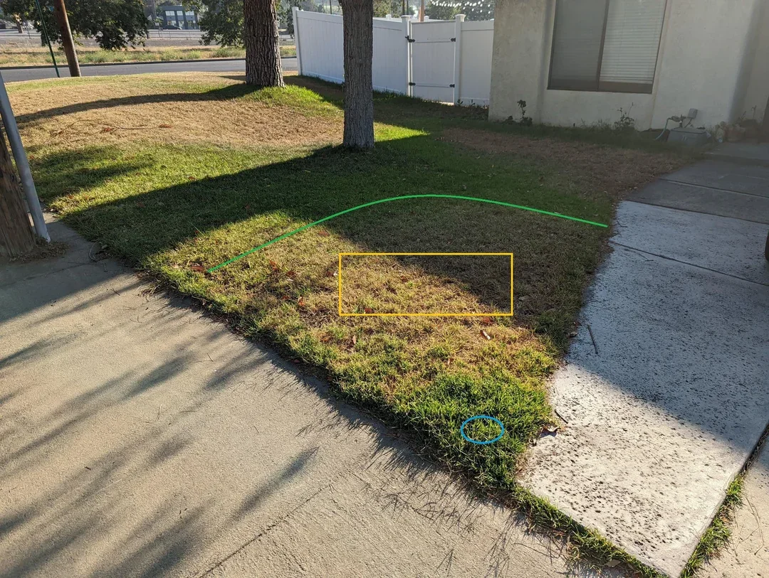 Uneven lawn irrigation coverage causing dry patches and overwatered areas due to improper sprinkler system design