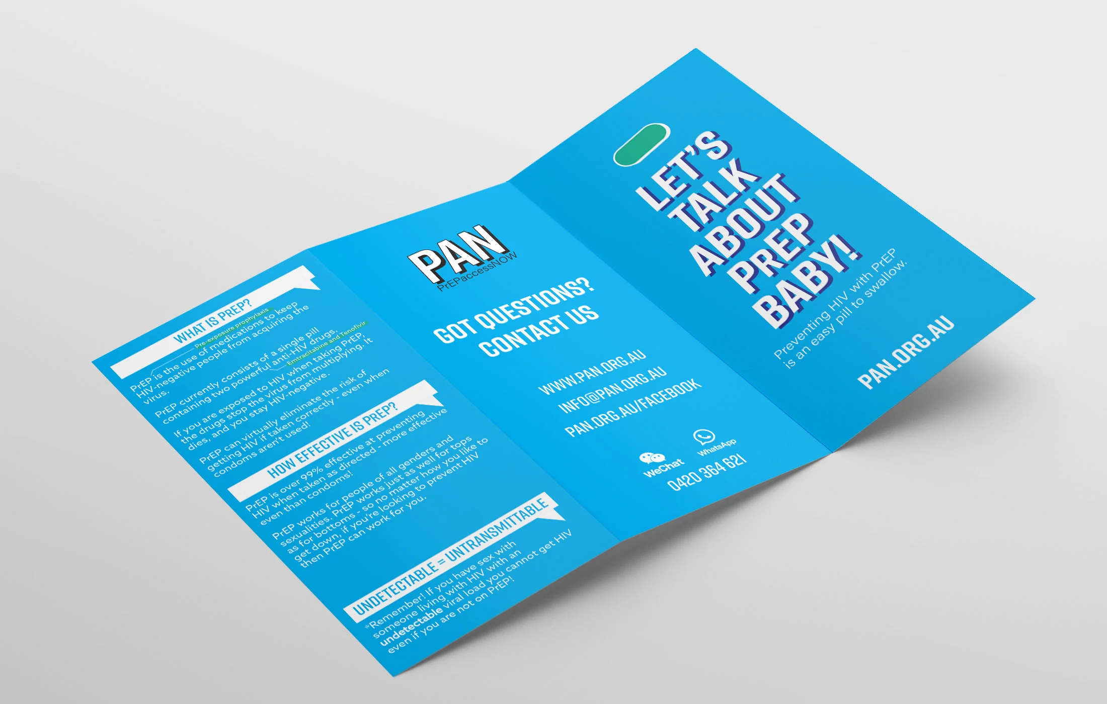 PAN_Flyer_Mockup_1.jpg