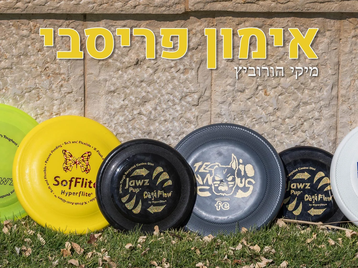 אימון פריסבי