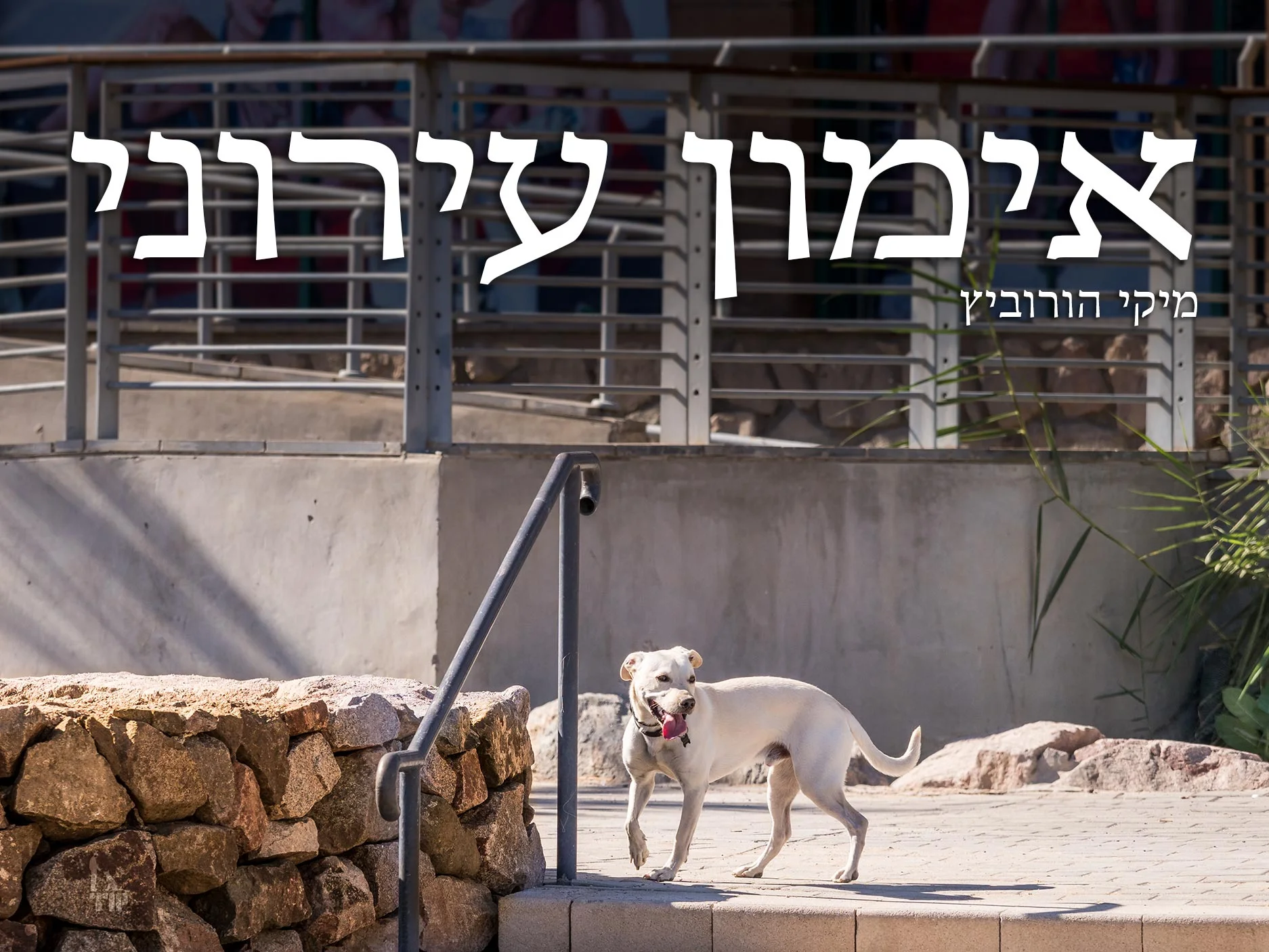 אימון עירוני