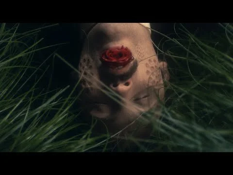 jerry cantrell - "brighten" - music video
