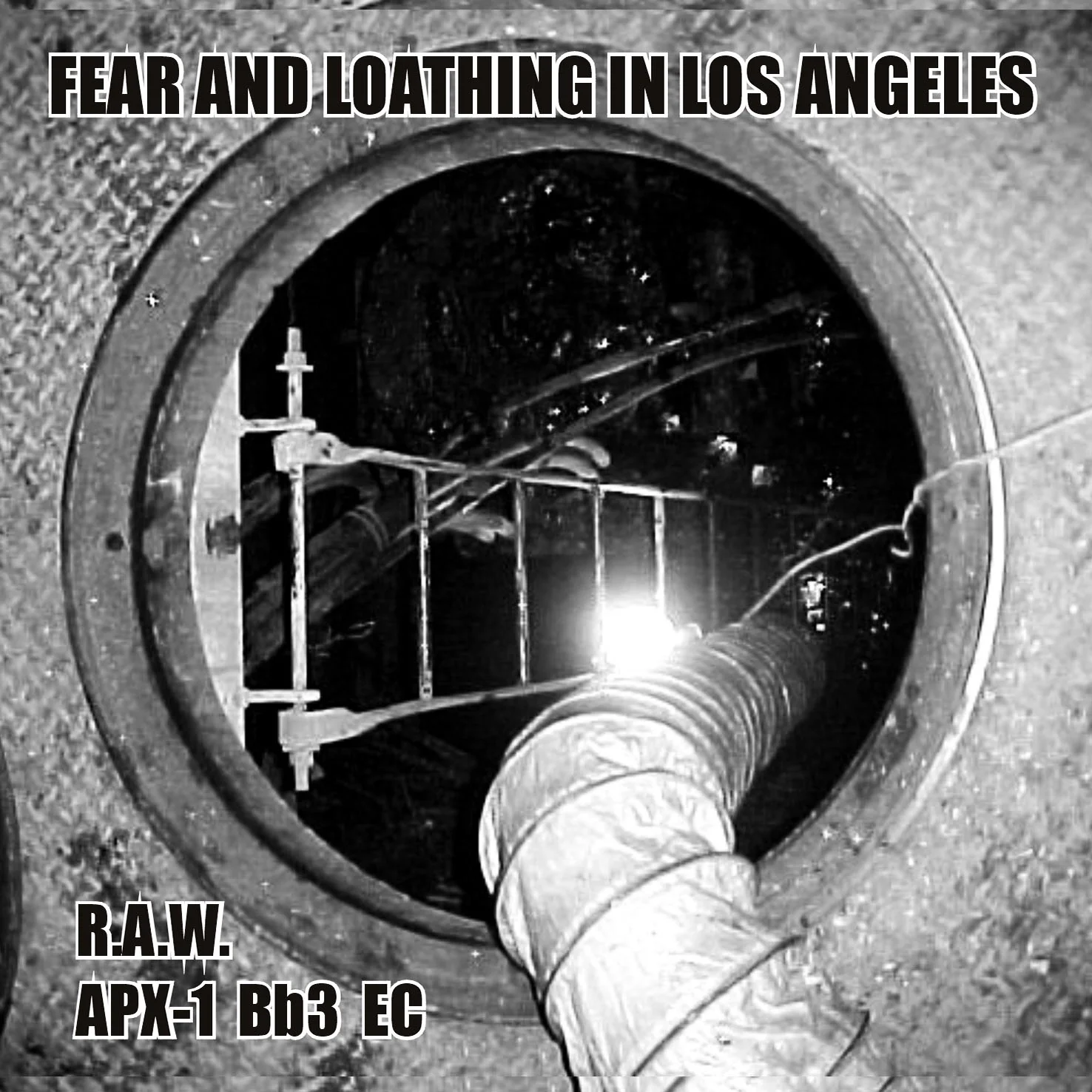R.A.W. - Fear &amp; Loathing In Los Angeles [DIGITAL DOWNLOAD]