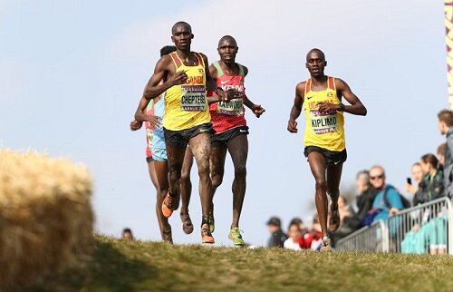 Cheptegei wins World Cross Country Championships Aarhus.jpg