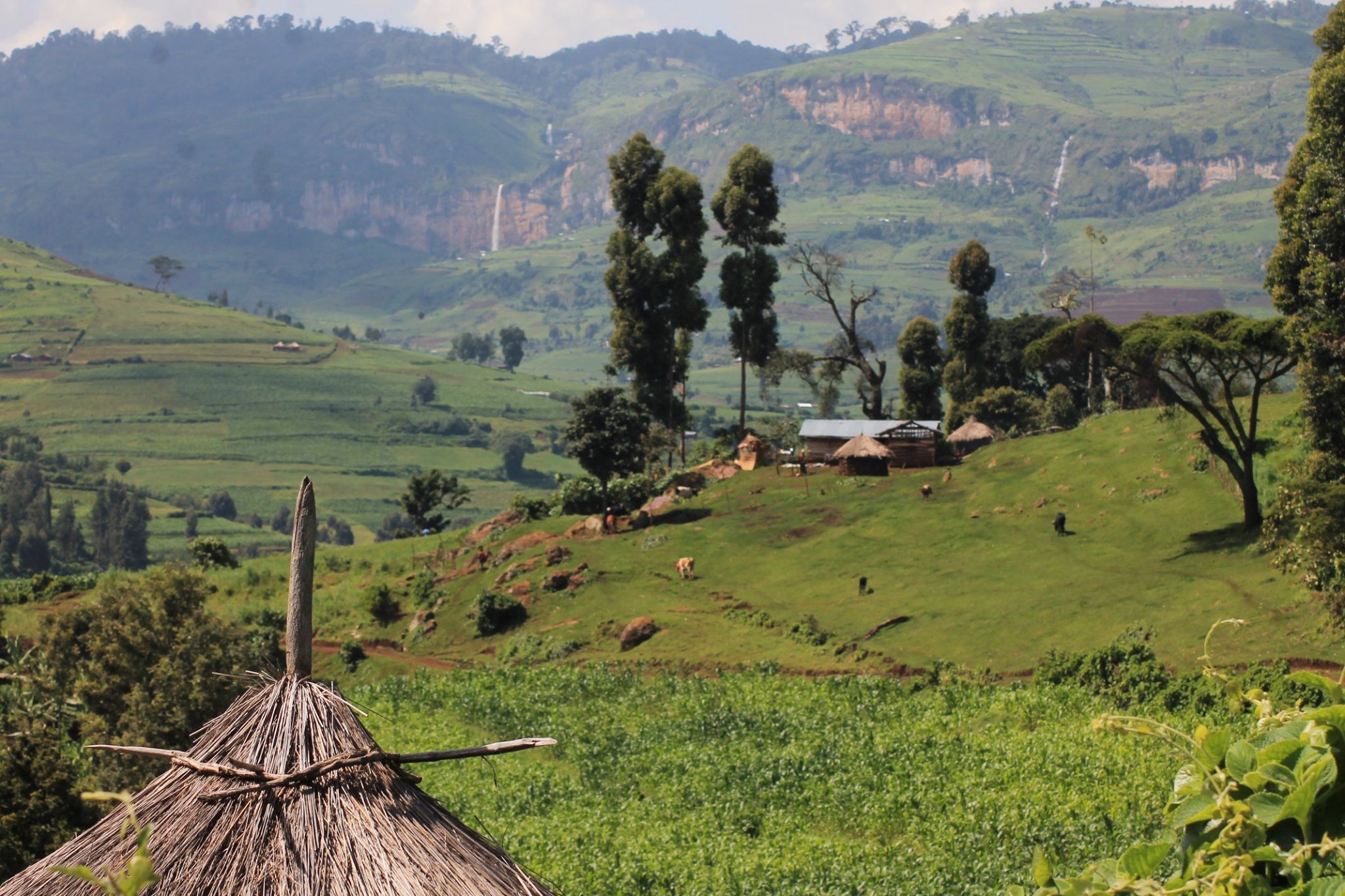 mount-elgon-village-jacob-kiplimo 