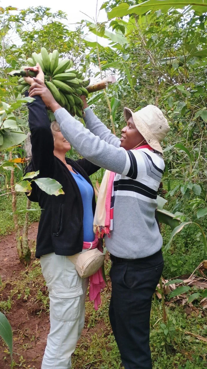 Carrying Matoke in Kapchorwa