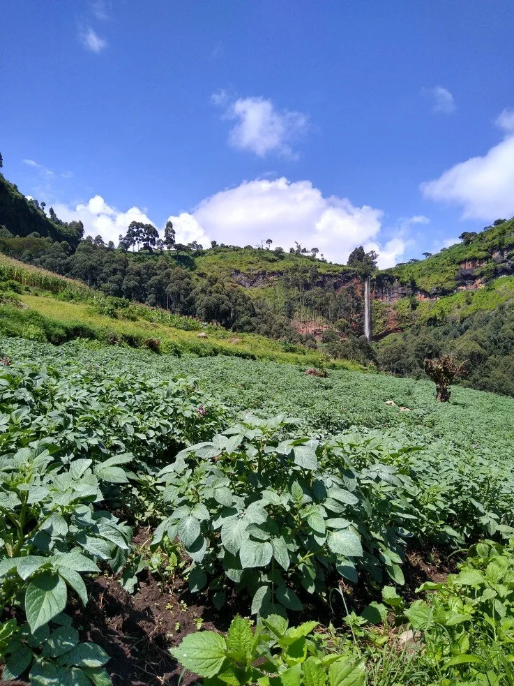 kaptokwoi-waterfall-fields-kapchorwa-nature-walk.jpg