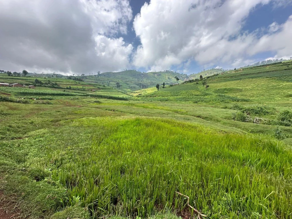 Beautiful and green Mosopisiek landscape in the higher belts of Kween District, Mount Elgon in Uganda.