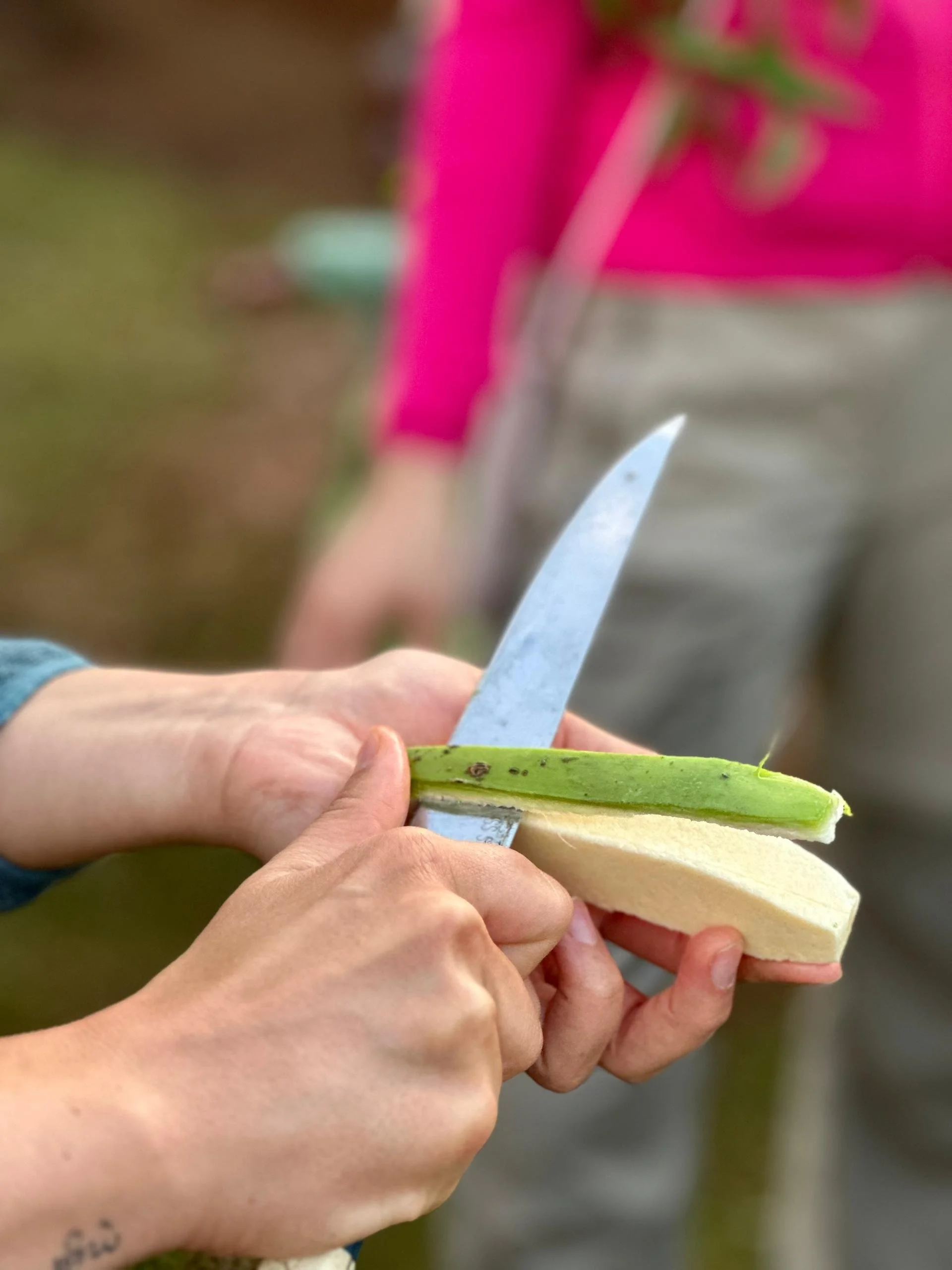 Guest peeling Matoke
