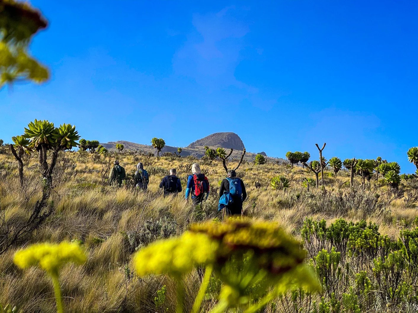 The Complete Guide to Mount Elgon National Park (2026) 