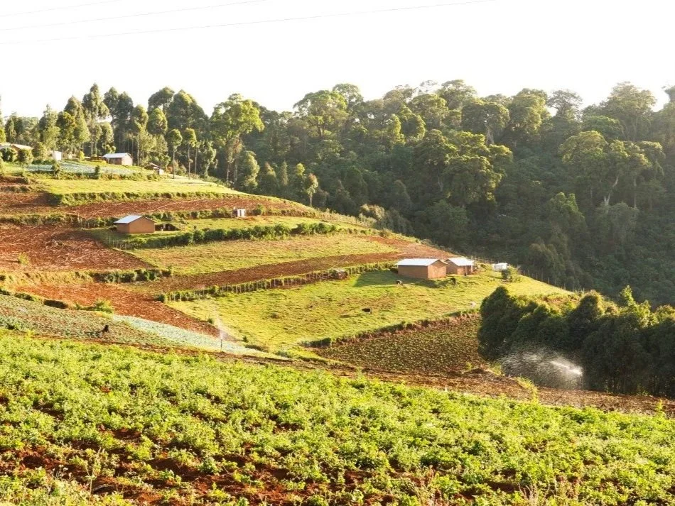 Joshua Cheptegei's home village of Kwoti, on the edge of Mount Elgon National Park.
