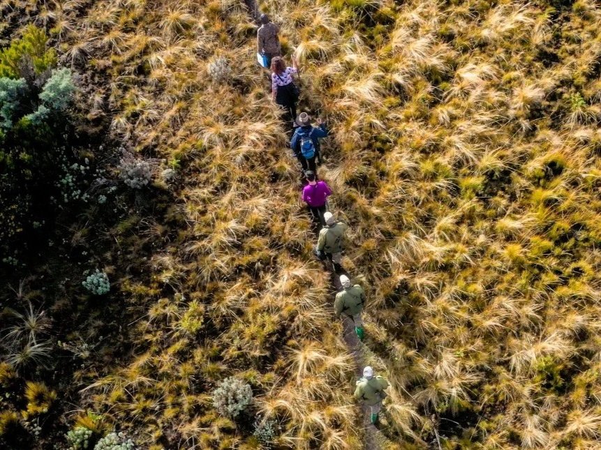 Hikers trekking Mount Elgon National Park in a view from above. Uganda.