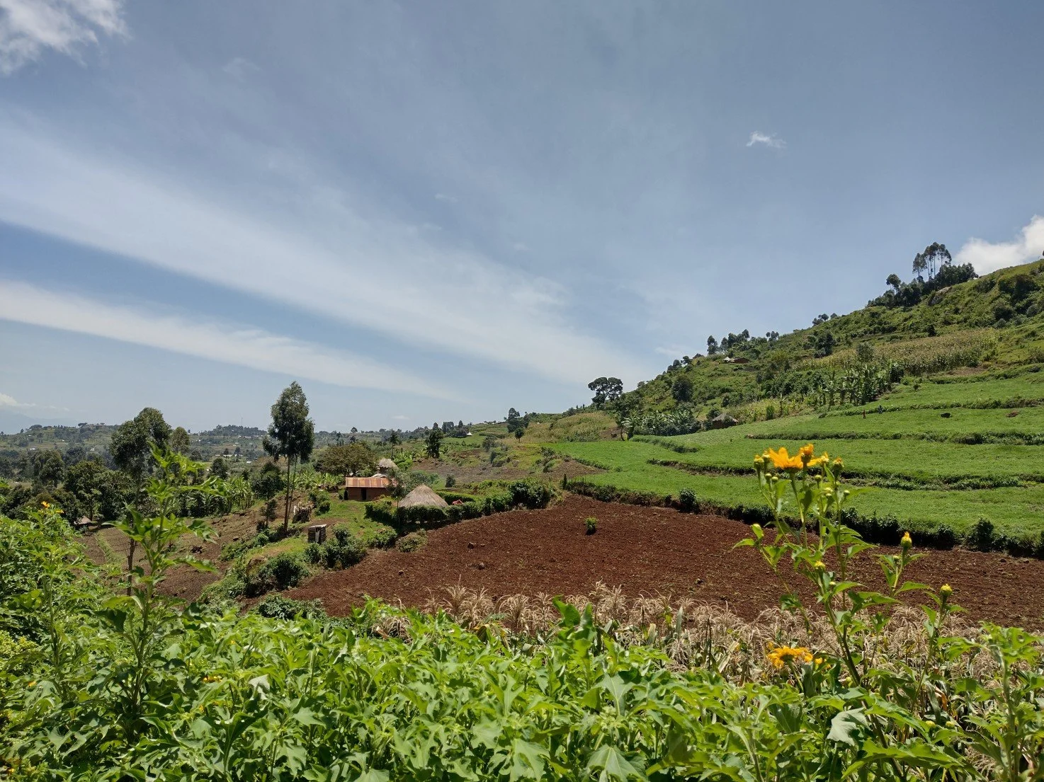 Meaningful Travel &amp; Wellness in Kapchorwa | Mount Elgon Uganda